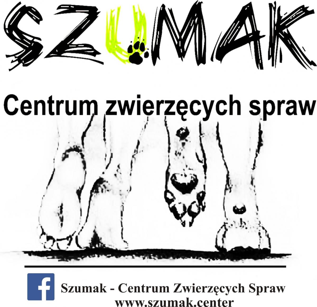 Jak SZUMAK wspiera psy i ich właścieli?