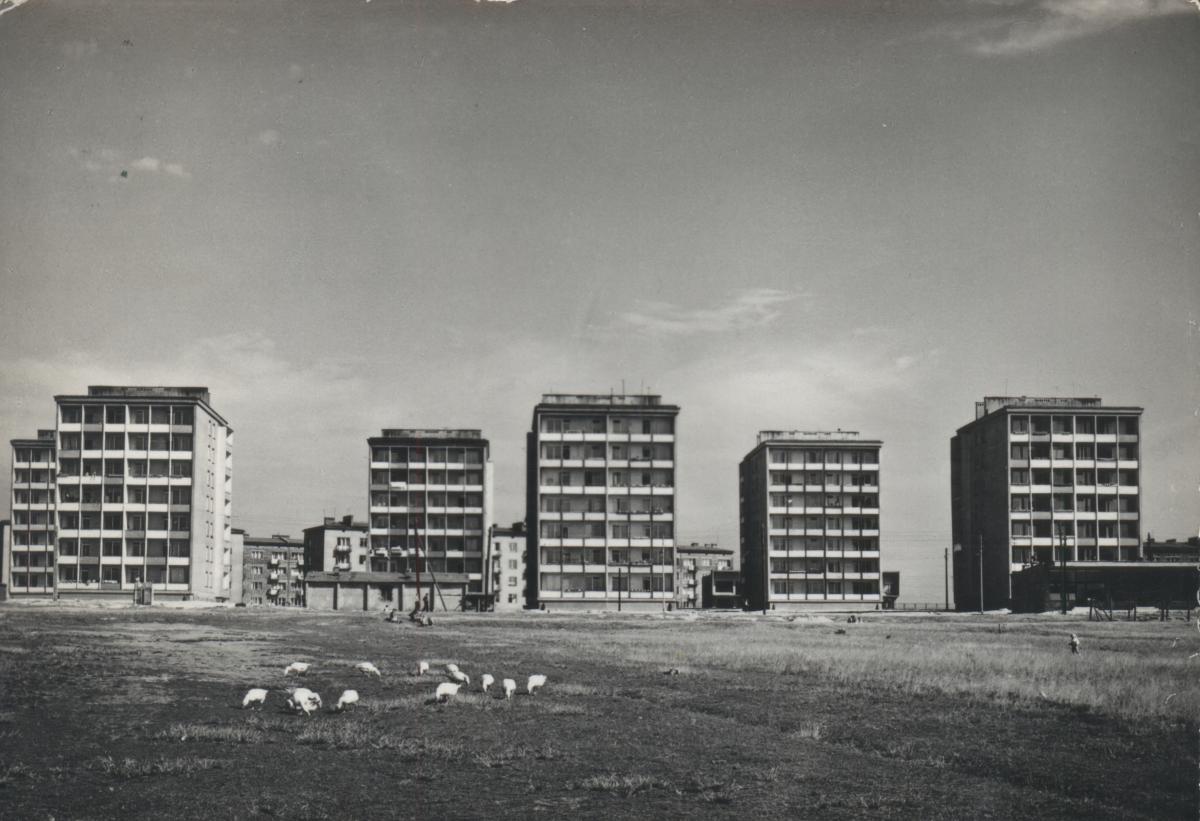 Dzielnice: tak, a nie inaczej – Os. Stałe – historia nazwy