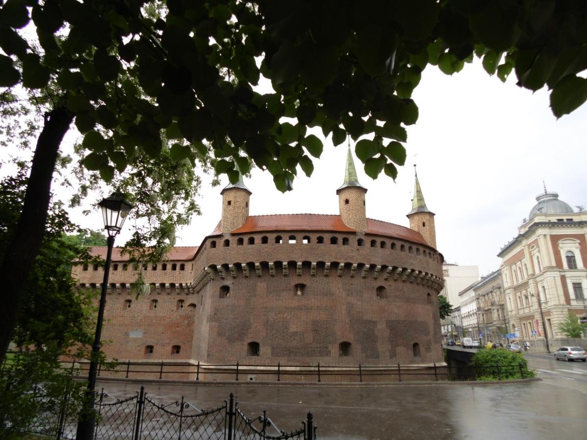 Wycieczka: Kraków botanicznie i nieco historycznie