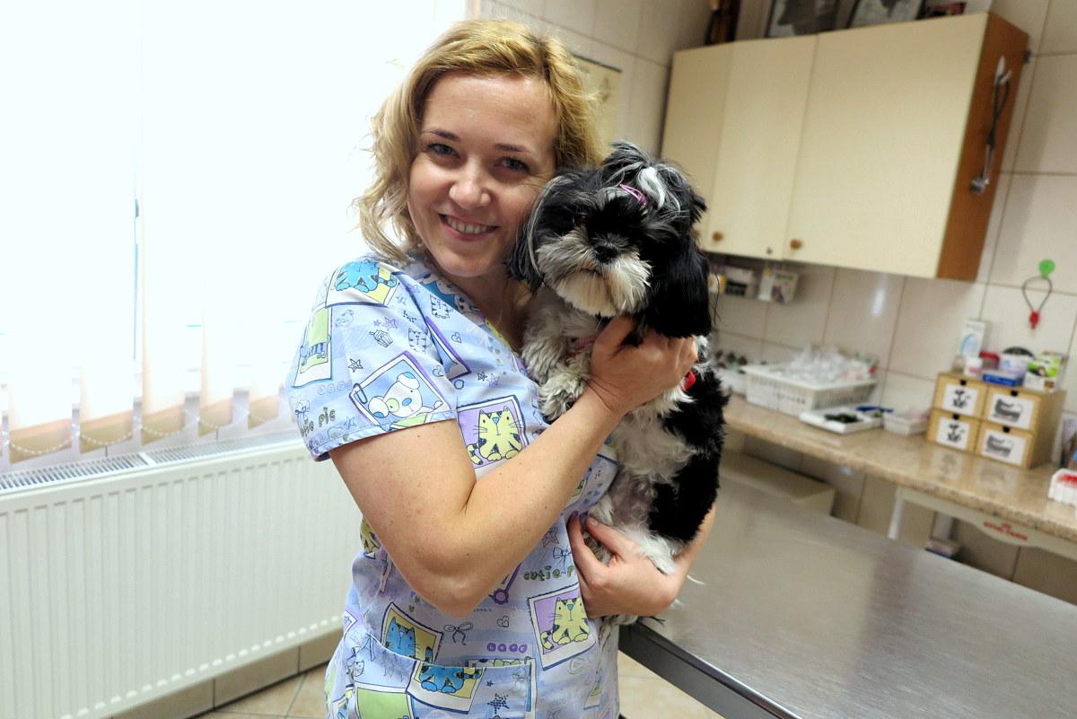 W Dniu Weterynarza o zdrowiu psów i kotów rozmowa z lek. weterynarii Agnieszką Junik