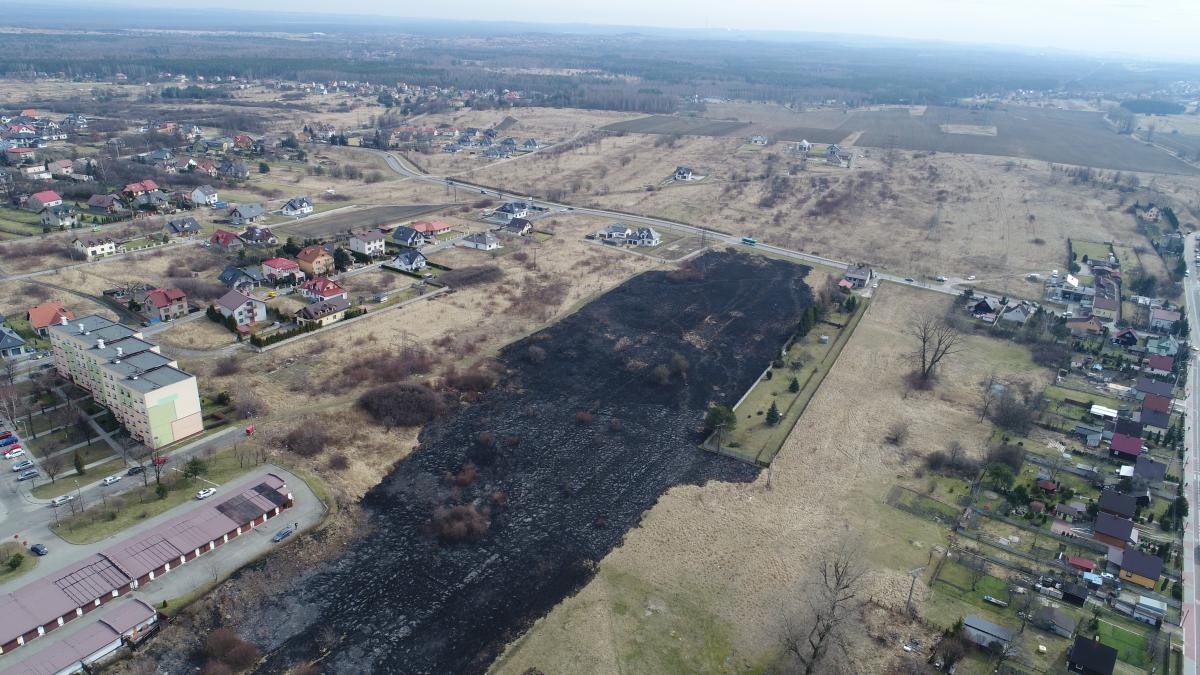 Kilkanaście pożarów traw
