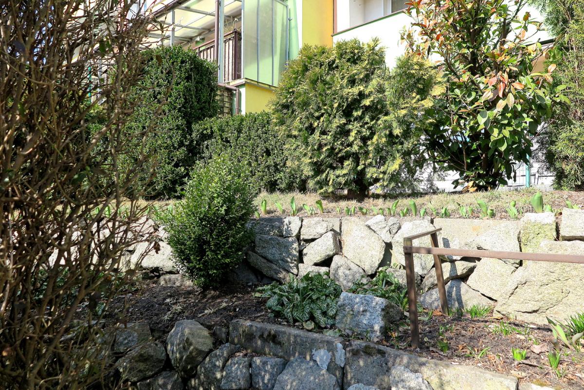 Jak przygotować ogród i balkon na wiosnę?