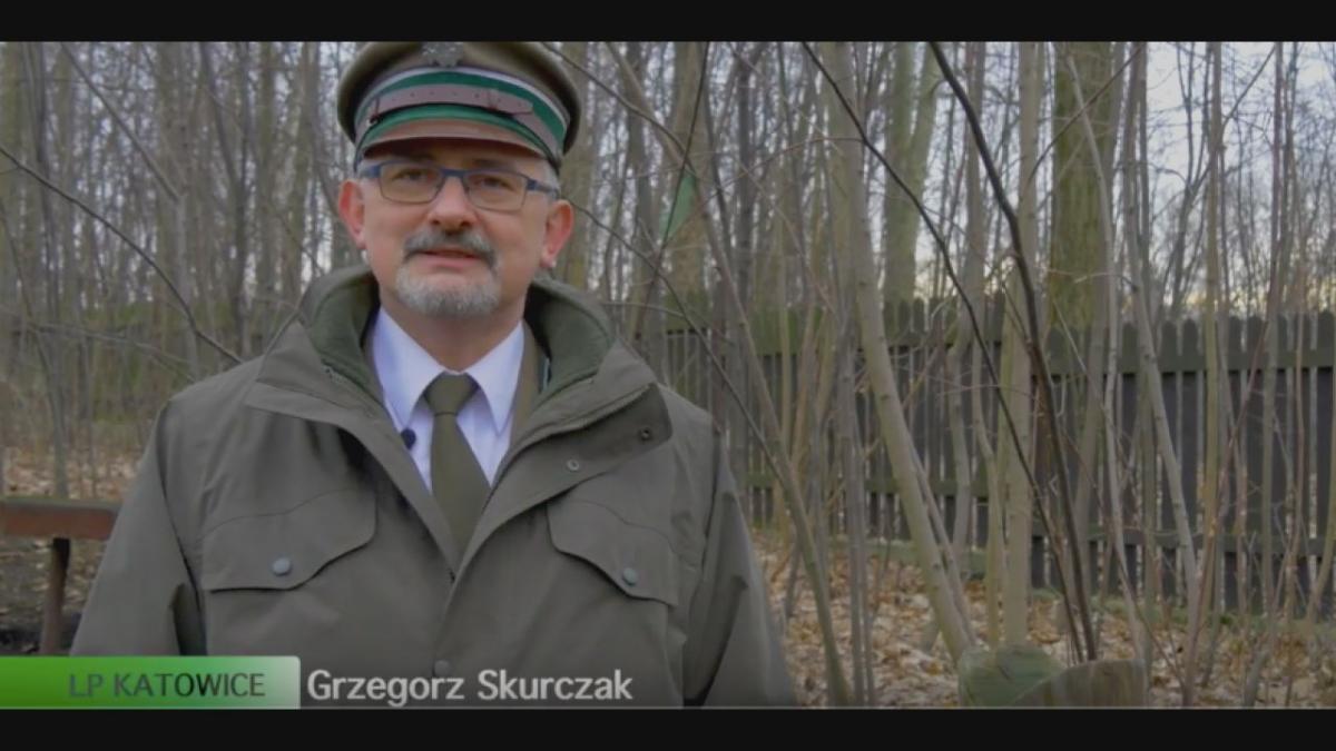 Dokarmianie zwierząt