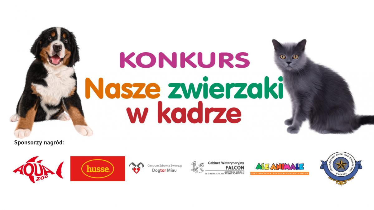 Nasze zwierzaki w kadrze - KONKURS
