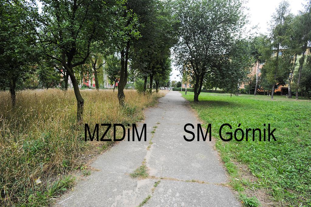 Zagospodarowanie zieleni zmieniło się na gorsze