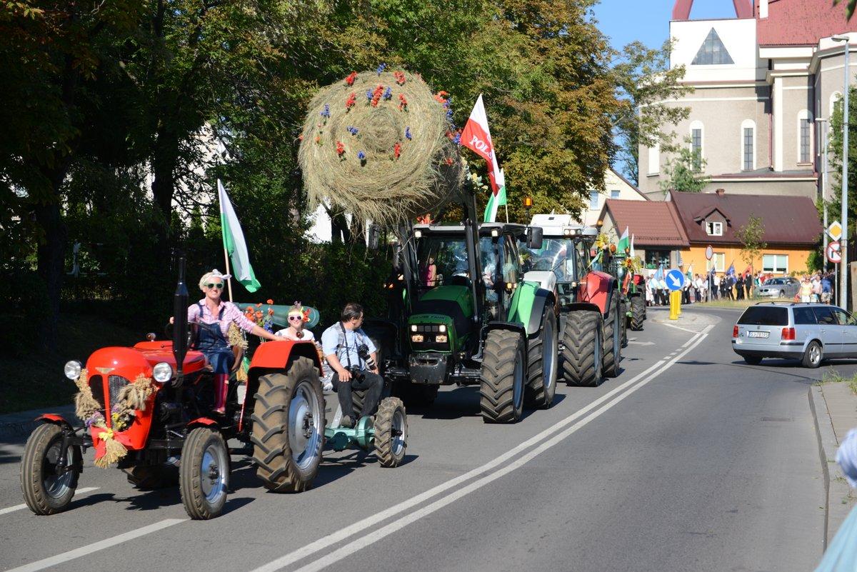 Już niedługo Dożynki Miejskie