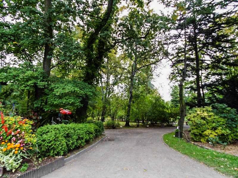 Zabrze - spacer po Miejskim Ogrodzie Botanicznym cz. I