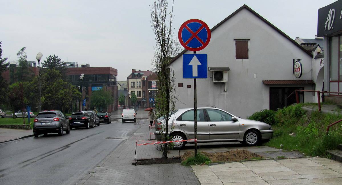 List do redakcji: Czy można posadzić drzewa na chodniku?