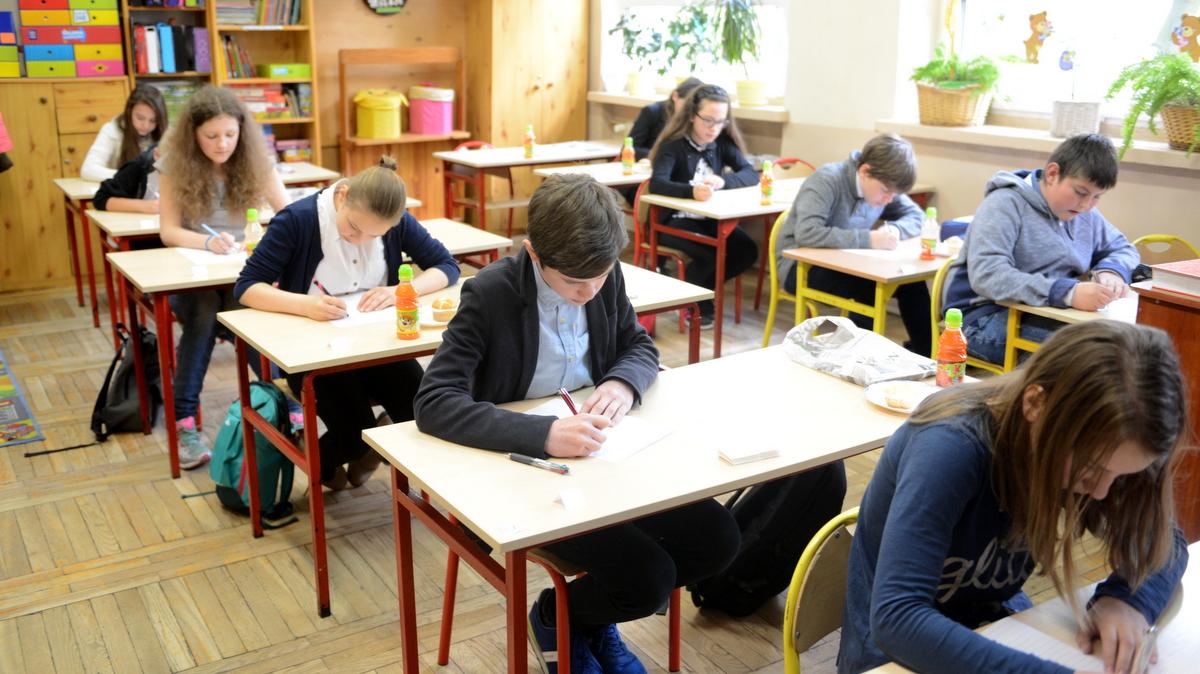 Żonkilowe dyktando – zwyciężył Kacper Pacut