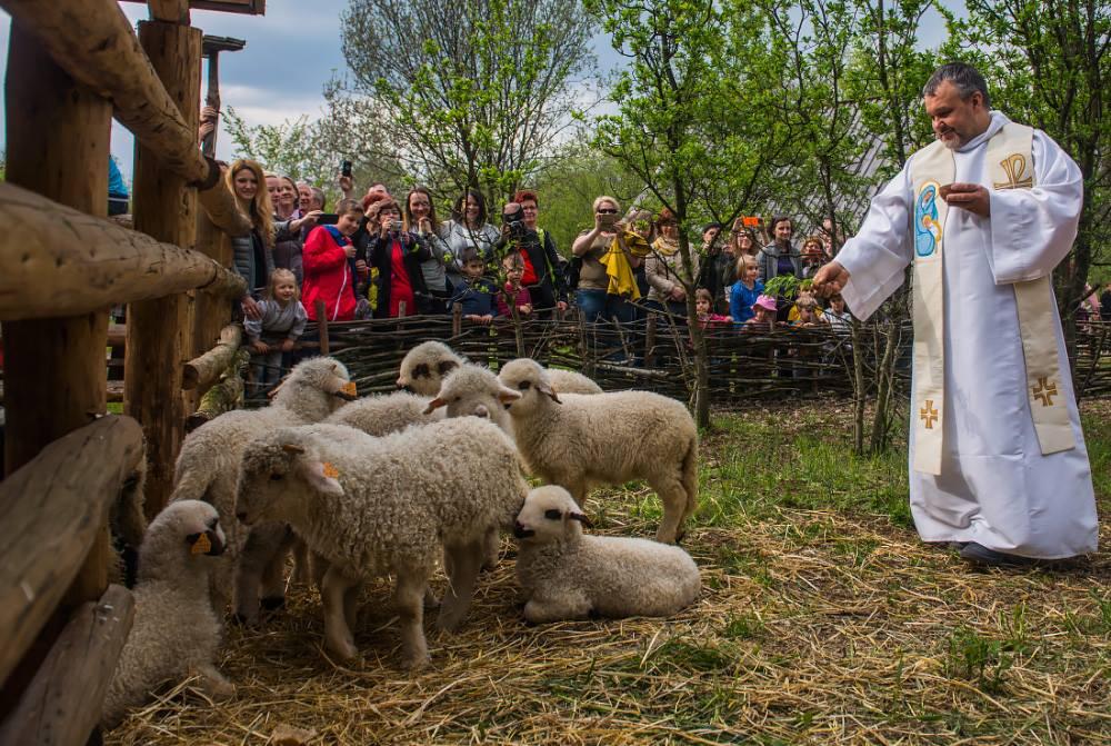 Nowości w Bacówce