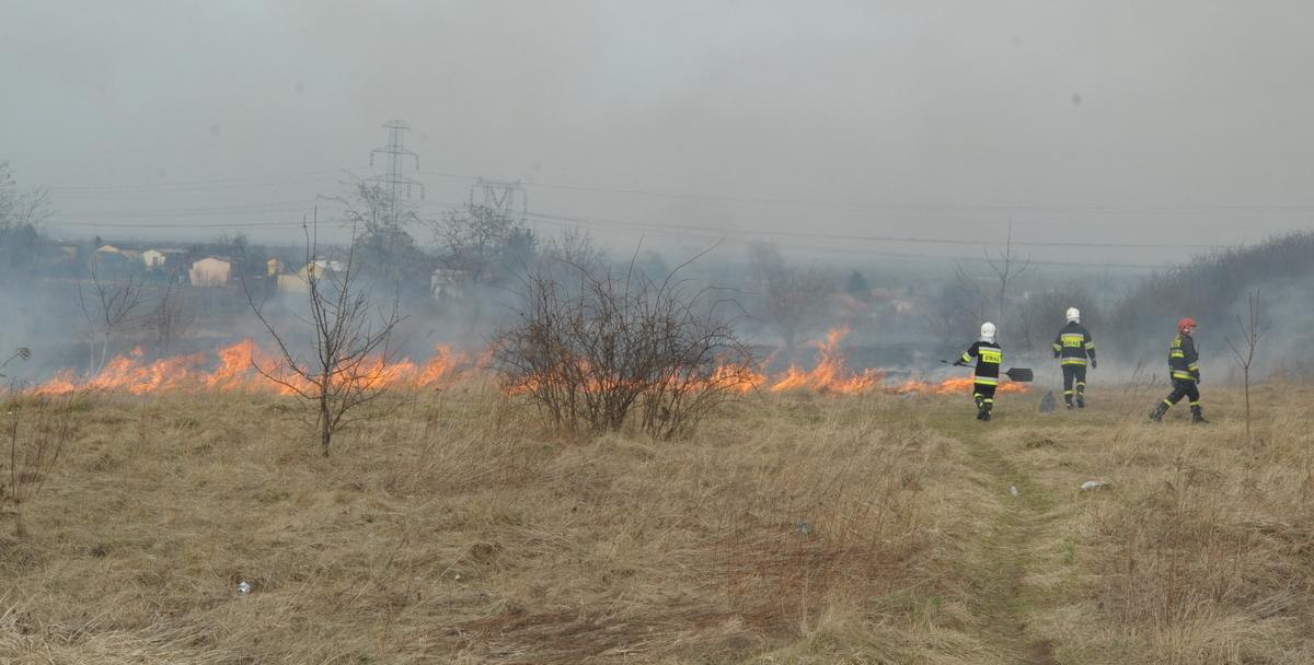 Pożar traw na Podwalu