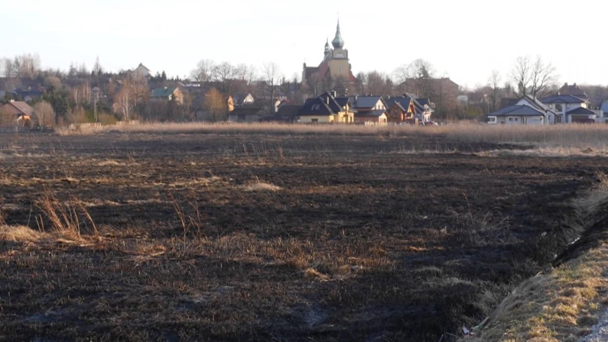 Pożar łąk w Ciężkowicach
