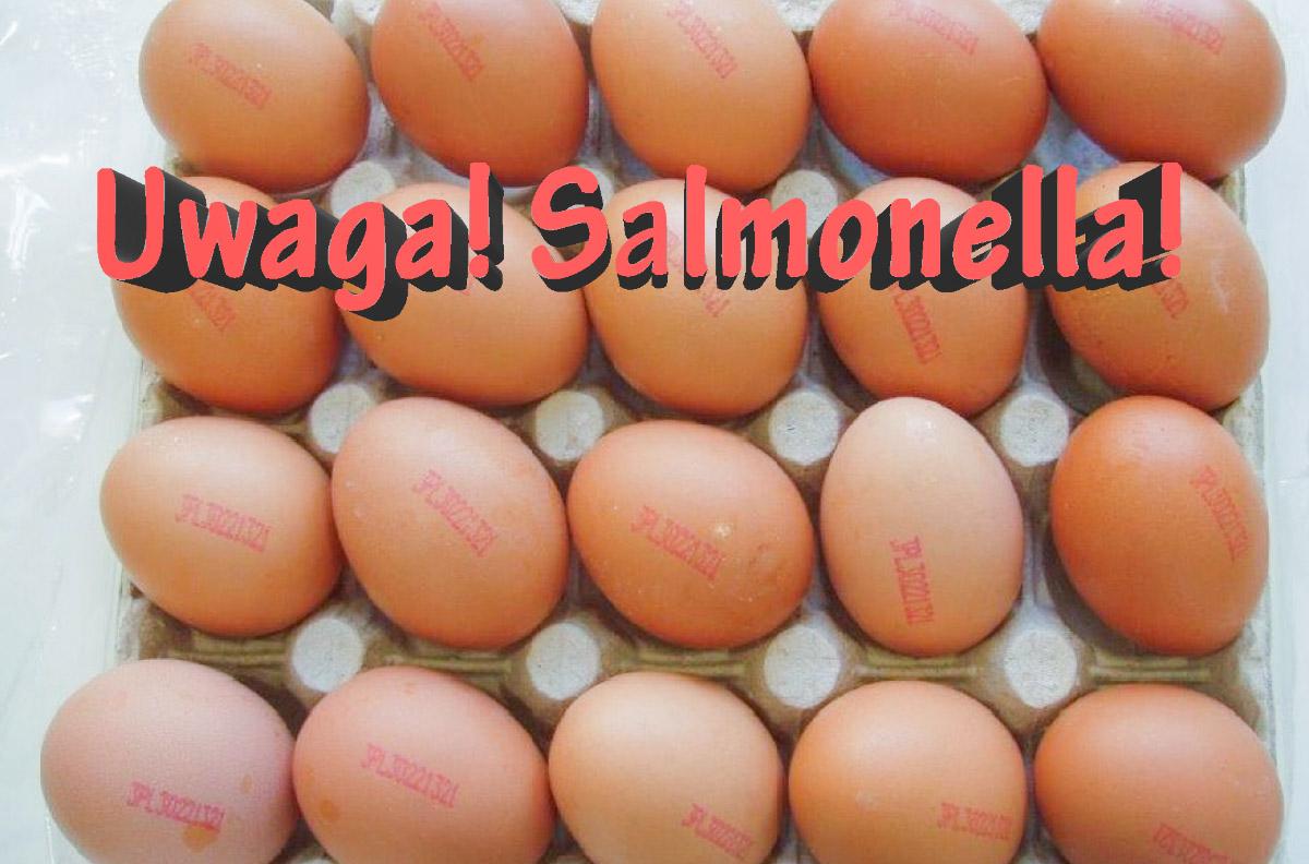 UWAGA! Jajka z salmonellą w Biedronce