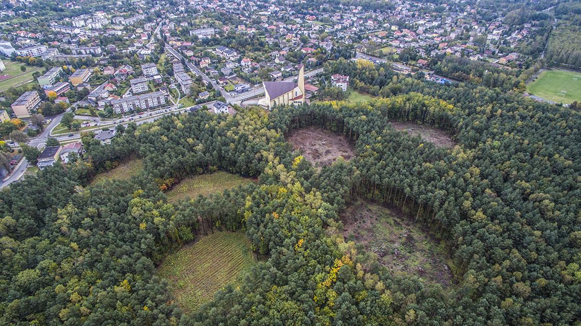 Leśnicy dbają o las na Podłężu
