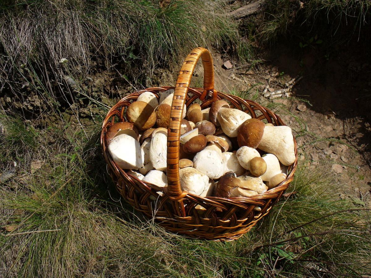 Wygraj bon o wartości 50 zł!
