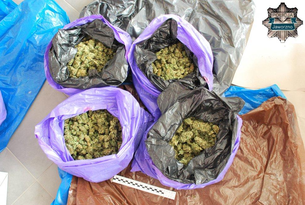 Policjanci przechwycili 6 kilogramów narkotyków