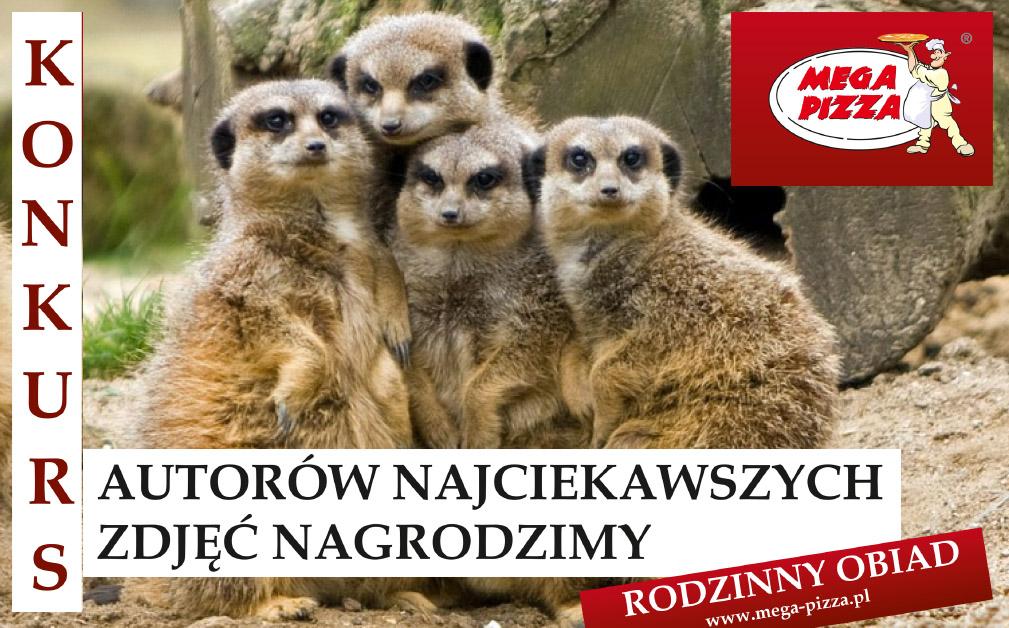 Z rodziną najlepiej wychodzi się na zdjęciu - znamy zwycięzcę konkursu
