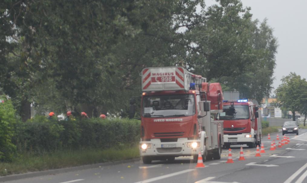 Strażacy intensywnie pracują. W samym lipcu interweniowali 227 razy