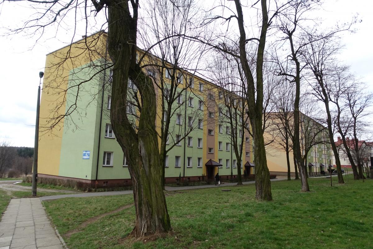 Bójka na Gagarina. Próbowali kopać policjantów. Trafili do aresztu