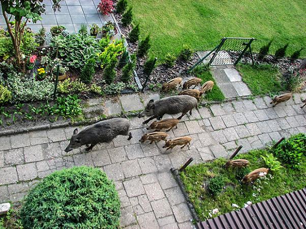 Konkurs fotograficzny, czyli wyślij do ans ciekawe zdjęcie