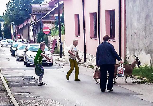 Konkurs fotograficzny - nagrodą kupon do Pizzerii 2-ki
