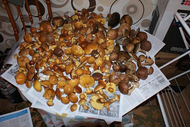 Kolejna edycja konkursu kulinarnego + rozstrzygnięcie