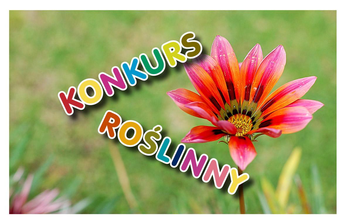 Kolejna edycja konkursu roślinnego
