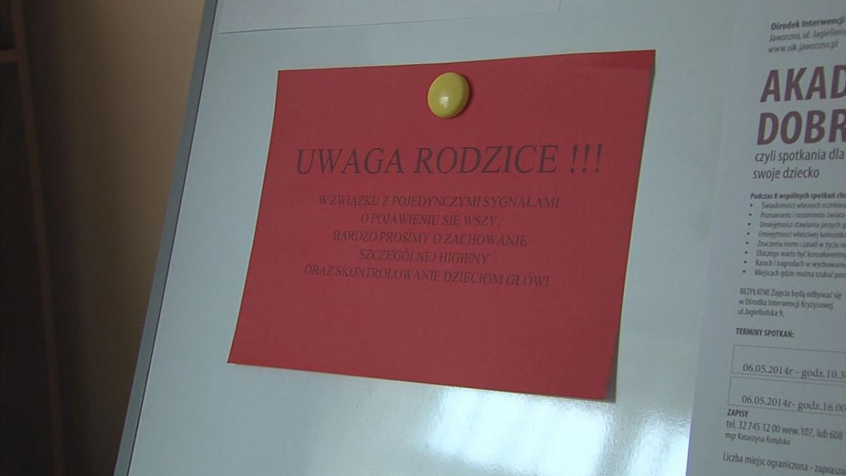 Wszawica w Przedszkolu Miejskim nr 9? Rodzice dzieci się obawiają