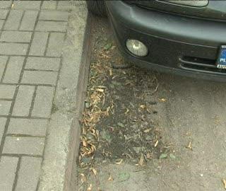 Podtopienia na ul. Gwarków