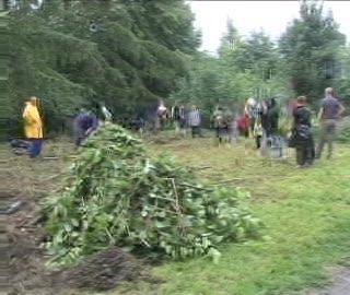 Wielkie sprzątanie na Północnej