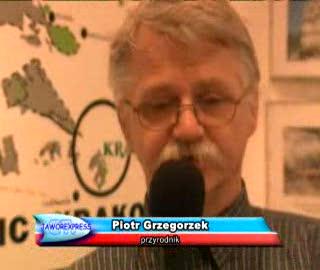 Grzegorzek czeka w czwartki