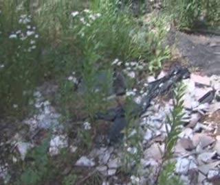„EKOpatrol”. Zostań tropicielem dzikich wysypisk śmieci
