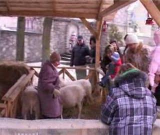 Żywa szopka w Szczakowej