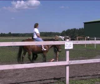 Hipoterapia dzieci niepełnosprawnych