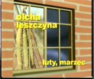 W jednej klasie z astmatykiem Jasiem 