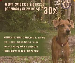 Apel Toz-u -