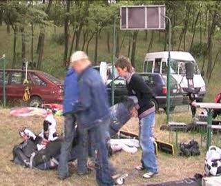 Silesia Cup 2008