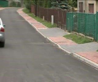 Pszczelnik odnowiony