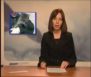 Jaworexpress 17.02.2008 