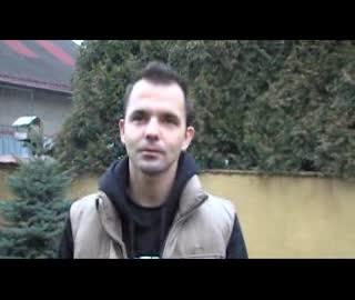 Pokazy szkolenia psów