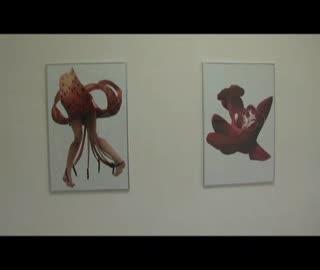 „Kwietnik” - wystawa w Galerii Sektor