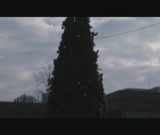 Flash Mob – Nakręć się 