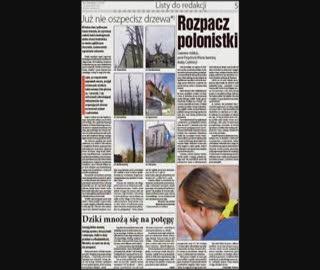 Rozpacz polonistki