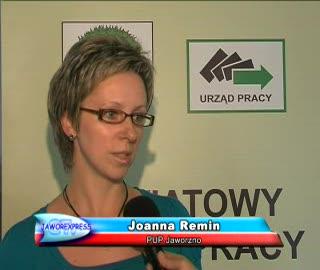 Powiatowy Urząd Pracy w hucie