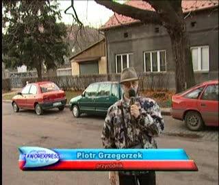Spotkanie z Piotrem Grzegorzkiem