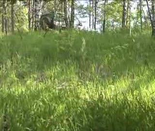 Ekstremalne  „Dzieciaki OFF-ROADziaki”