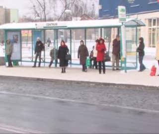 Rozkłady minibusów już dostępne