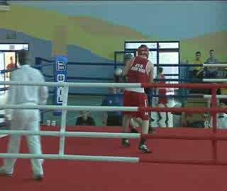 Bokserski sukces Jawor Teamu 