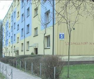 Zostały pnie i kikuty drzew