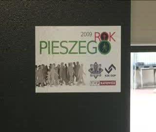 Rok Pieszego 2009